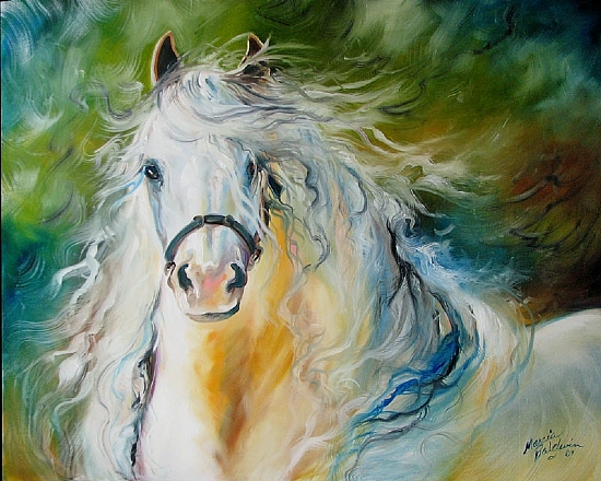 WHITE CLOUD the Andalusian Stallion Oil on Canvas